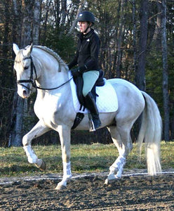 A rider dressed in black on a white horse riding outside.